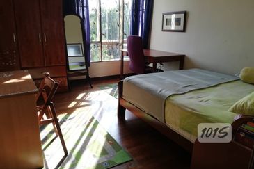 Anggerik Doritis @ Kota Kemuning