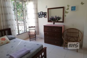 Anggerik Doritis @ Kota Kemuning