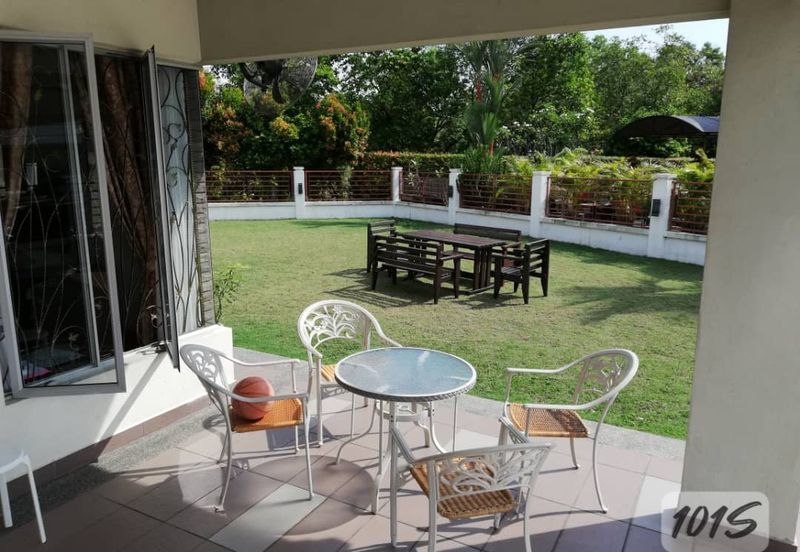 Anggerik Doritis @ Kota Kemuning