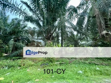 Worth To Buy 1.74 Arces Agriculture Land @ Jenjarom For Sale, Selangor, Jenjarom