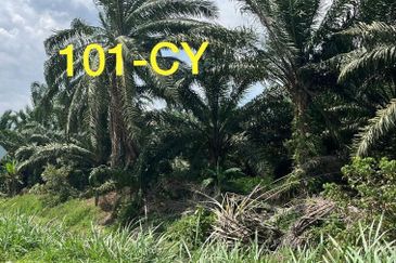 Worth To Buy 1.74 Arces Agriculture Land @ Jenjarom For Sale