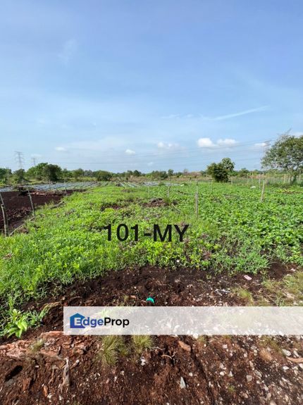 Agriculture Land @ Johan Setia Klang 2 Acre Land For Sale, Selangor, Klang