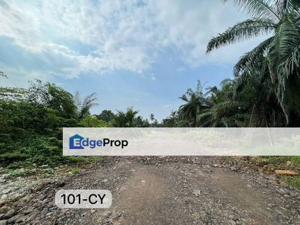 Value Buy Agriculture Land Batu 7, Kapar Klang, Selangor, Klang