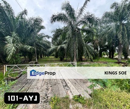 {Facing Road} Argiculture Land for Rent @ Kapar Batu 12 Tok Muda, Klang, Selangor, Klang