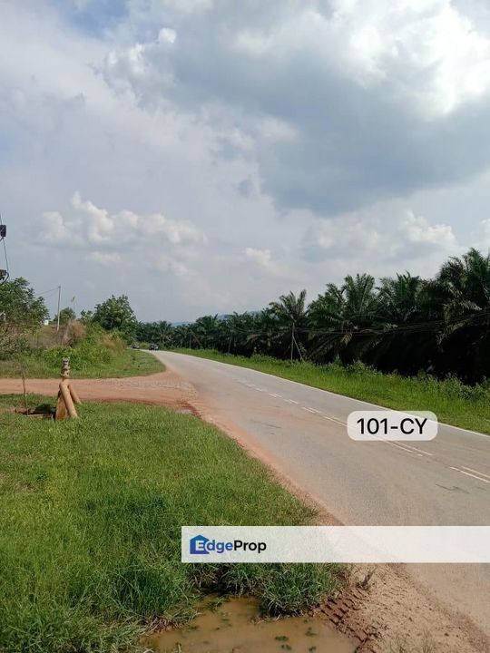 【Beside MainRoad】Pahang Bentong @ Agriculture w Durian Land For Sale, Pahang, Bentong