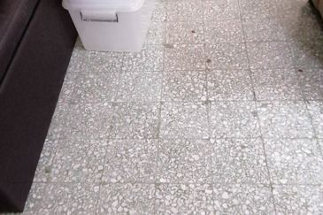 OUG Fully Furnished House to Rent