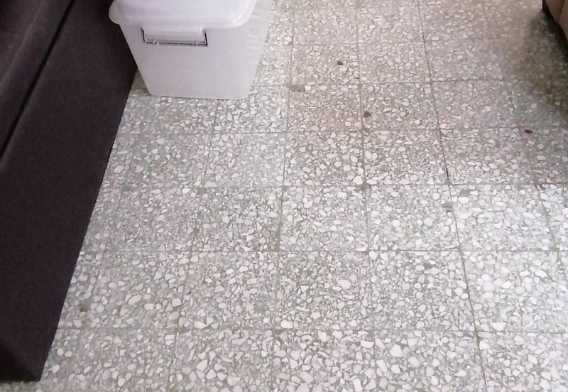 OUG Fully Furnished House to Rent