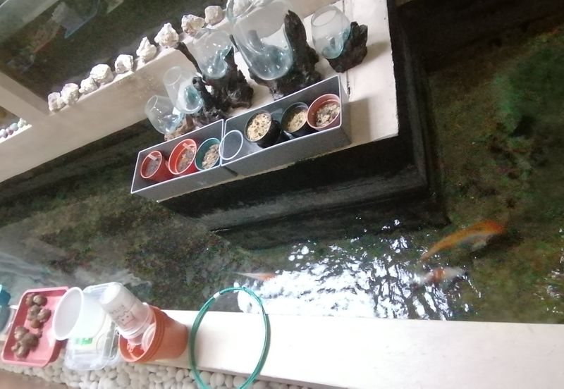 Taman OUG, Semi D For Sale