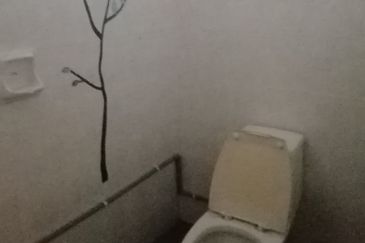 OUG, Bungalow with Spacious Land for Sale