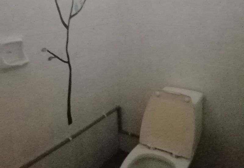 OUG, Bungalow with Spacious Land for Sale