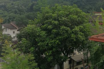 Jalan Klang Lama/OUG Bungalow for Rent