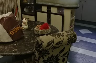 Happy Garden (Taman Gembira)