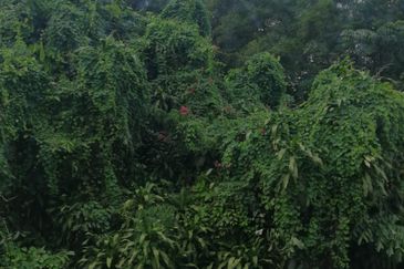 Happy Garden (Taman Gembira)