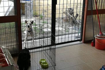 OUG, Bungalow For Sale