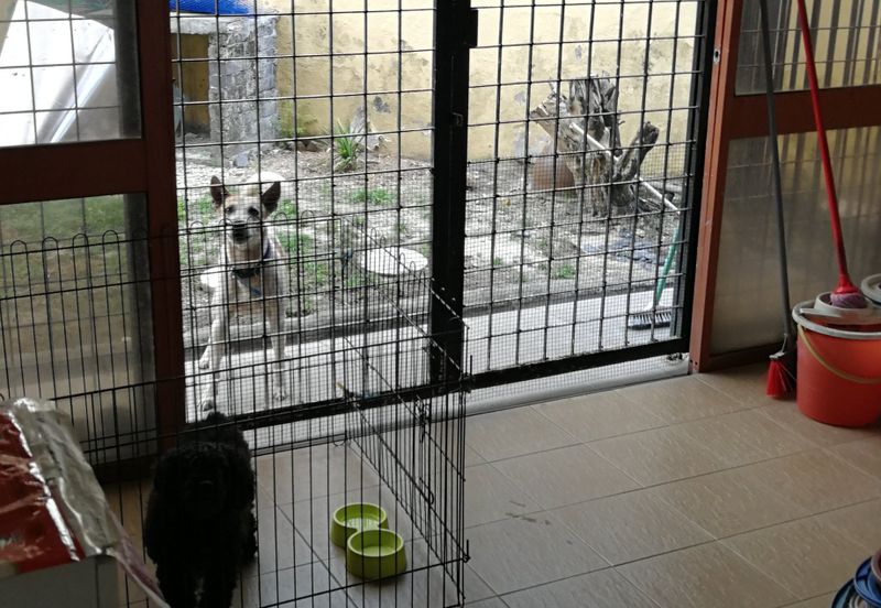 OUG, Bungalow For Sale