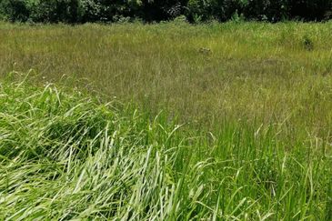 OUG/Taman Yarl Bungalow Land For Sale