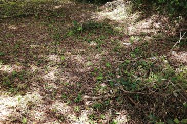 OUG/Taman Yarl Bungalow Land For Sale