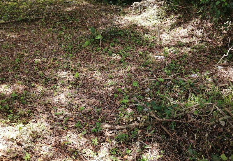 OUG/Taman Yarl Bungalow Land For Sale