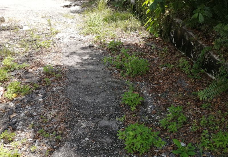 OUG/Taman Yarl Bungalow Land For Sale