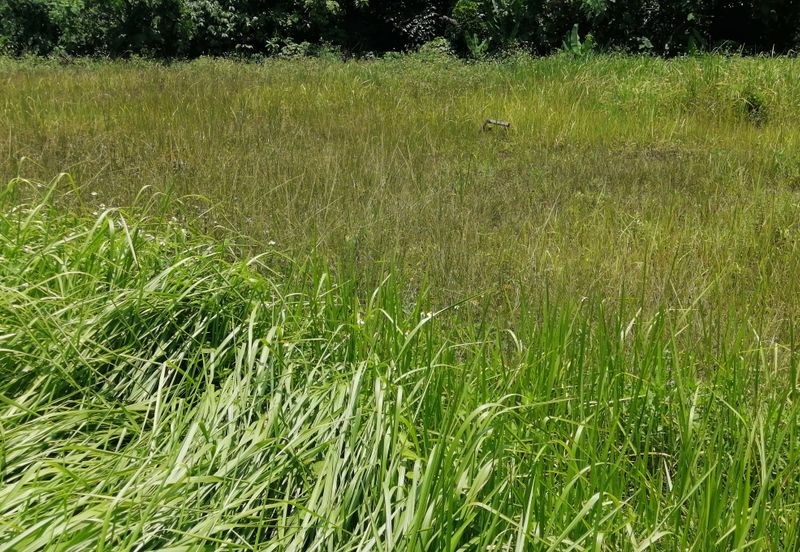 OUG/Taman Yarl Bungalow Land For Sale