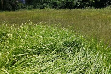 OUG/Taman Yarl Bungalow Land For Sale