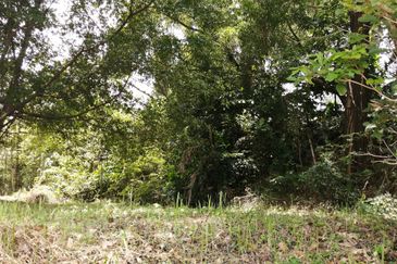 OUG/Taman Yarl Bungalow Land For Sale
