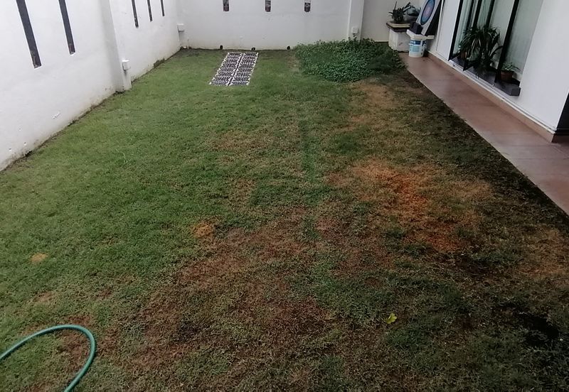 OUG/Happy Garden 1 Storey Corner Fully Renovated