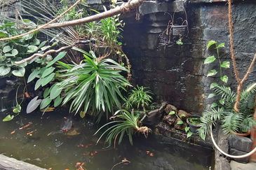 OUG/Taman Yarl 2 Storey Renovated Semi D For Rent