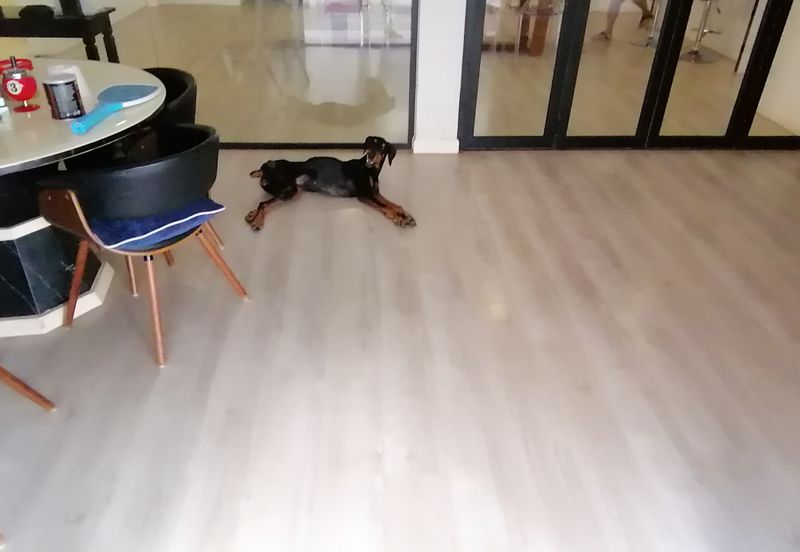 OUG/Happy Garden Fully Renovated Semi D For Sale