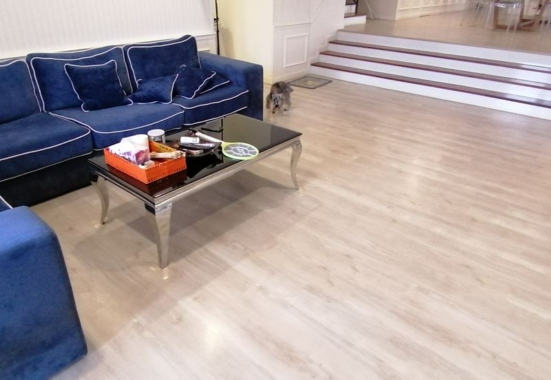 OUG/Happy Garden Fully Renovated Semi D For Sale