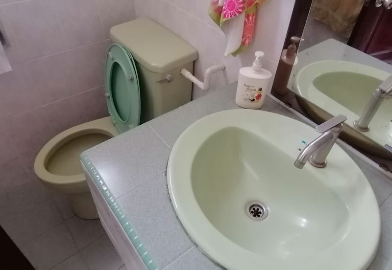 OUG 2 Storey Semi D wIth Big Landscape For Sales