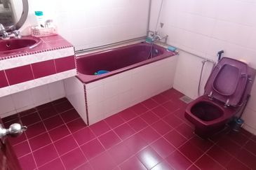 OUG 2 Storey Semi D wIth Big Landscape For Sales