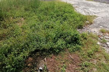 OUG/Taman Yarl Freehold Bungalow Lot For Sale