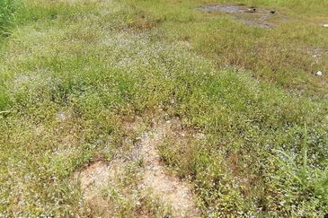 OUG/Taman Yarl Freehold Bungalow Lot For Sale