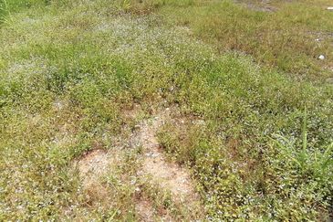 OUG/Taman Yarl Freehold Bungalow Lot For Sale