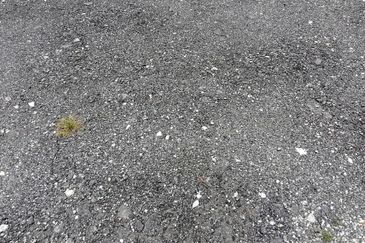 OUG/Taman Yarl Freehold Bungalow Lot For Sale