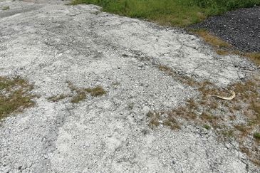 OUG/Taman Yarl Freehold Bungalow Lot For Sale