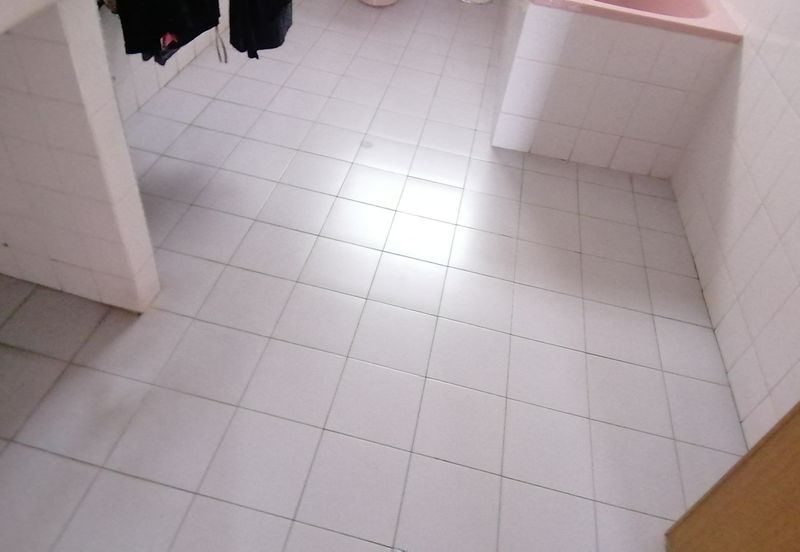 OUG 2 Storey Bungalow With Big Landscape For Sale