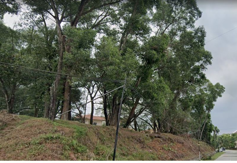 OUG/Taman Yarl Residential Land For Sale