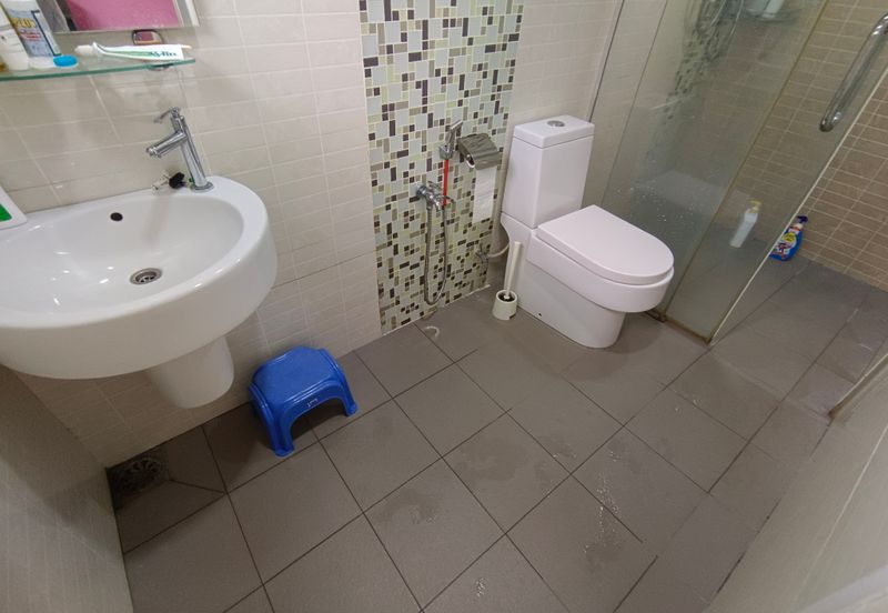 OUG 2 Storey Fully Renovated House For Sale