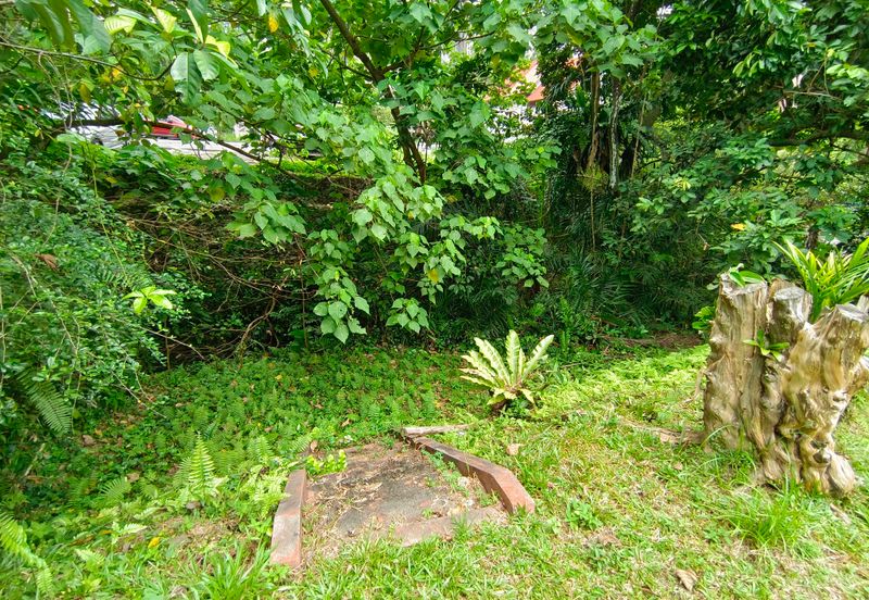 Damansara Heights (Bukit Damansara)