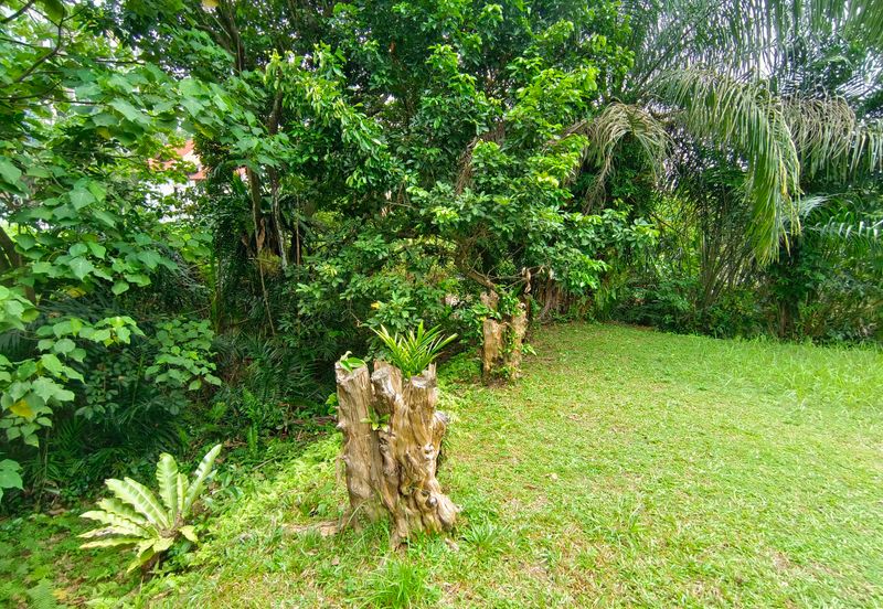 Damansara Heights (Bukit Damansara)