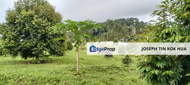 Raub 7.3acre durian orchard for sale, Pahang, Raub