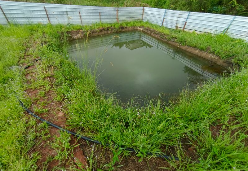 Raub 7.3acre durian orchard for sale