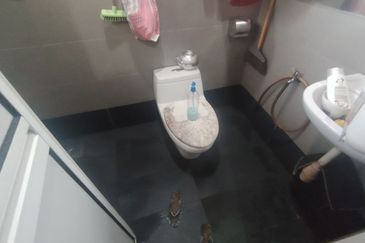 Taman Anggerik Heights