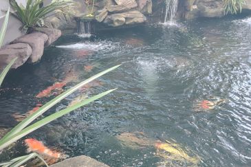 Oug 4 Storey Corner Semi D Modern Design Gated Guarded with Big Landscape for Sale