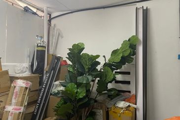 Overseas Union Garden