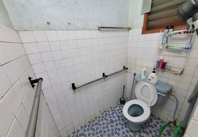 Overseas Union Garden