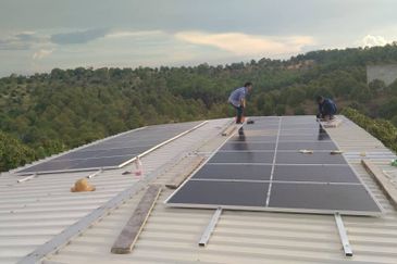 Raub 7.3acre durian orchard for sale