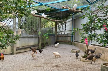 Jeram 2 Storey Villa Fully Furnished for Sale   